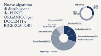 Grafico dei criteri di valutazioni utilizzati per attribuire punti organico